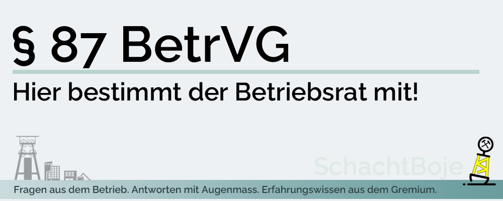 § 87 BetrVG